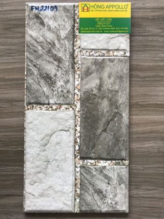 Gạch ốp tường trang trí 20x40 3D cao cấp FH22109