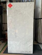 Gạch 60x120 Ấn Độ bóng kính MS31