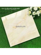 Lát nền nhà gạch 60x60 bóng kiếng