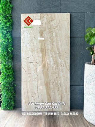 Gạch 60x120 Ấn Độ 62032