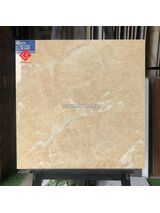 Gạch 60x60 AMY vân vàng đậm