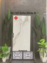Gạch 60x120 trắng vân mây Sofia White B