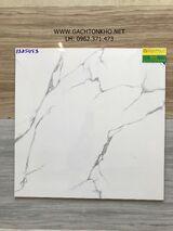 Gạch 60x60 Bóng Kiếng Lát Nền Tồn Kho GTK1325453