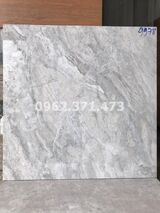 Gạch lát nền phòng khách giá rẻ 60x60 9978