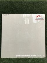 Gạch 60x60 bóng kiếng vân xà cừ vàng