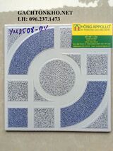 Gạch nhà tắm 25x25 YM2508