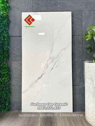 Gạch 60x120 Ấn Độ Armani Vanettino