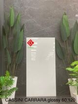 Gạch 60x120 Ấn Độ Cassini Carrara Glossy