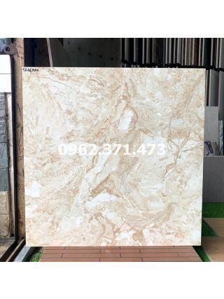 Gạch bóng kiếng 60x60 Apodio vân đá cao cấp 5646MAX