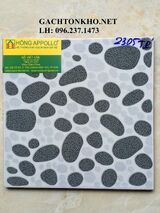 Gạch nhà tắm 25x25 2305