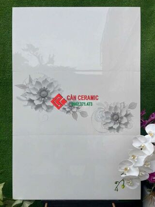 Gạch 40x80 royal màu trắng tinh hoa văn