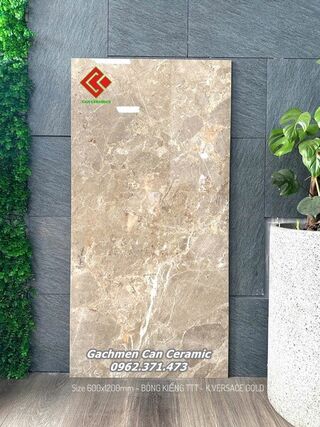 Gạch 60x120 Ấn Độ Versace Gold