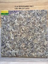 GẠCH LÁT NỀN 60x60 Bóng Kiếng Xà Cừ P6039