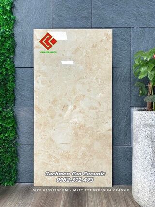 Gạch 60x120 Ấn Độ Bressica Classic