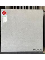 Gạch viglacera 80x80 lát nền 8804