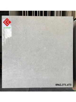Gạch viglacera 80x80 lát nền 8804