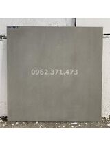 Gạch xi măng Ấn độ 80x80