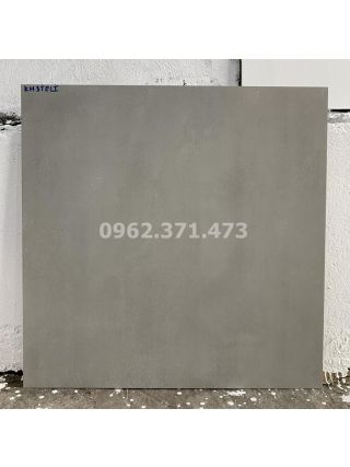 Gạch xi măng Ấn độ 80x80