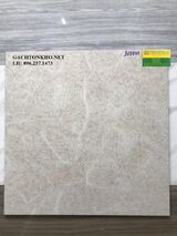 GẠCH LÁT NỀN 60x60 Lông Thú P68043