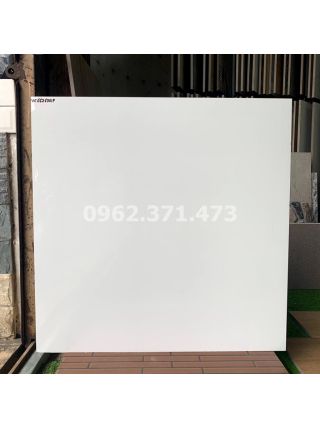 Gạch bóng kiếng trắng trơn 60x60 lát nền 6676