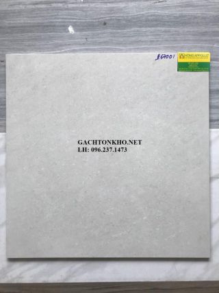 GẠCH LÁT NỀN 60x60 Bóng Kiếng P67001