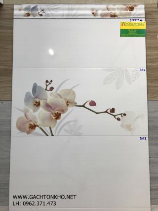 Gạch bộ ốp tường 30x60 hoa lan tồn kho giá rẻ 3104TH