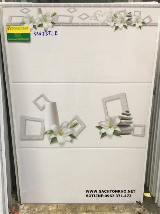 Gạch ốp tường 30x60 màu trắng 3667D