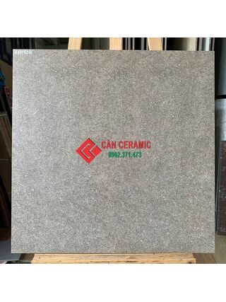 Gạch viglacera 60x60 mờ nâu đất