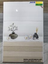 Gạch Ốp Tường 30x60 giá rẻ tồn kho 3623D