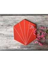 Gạch lục giác trang trí quận 5