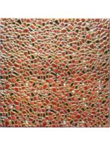 Gạch nhũ vàng 2515