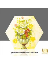 Gạch lục giác giá rẻ Tây Ninh