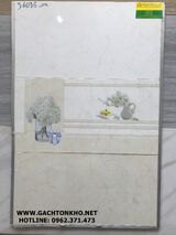 Gạch Ốp Tường 30x60 giá rẻ tồn kho 36036