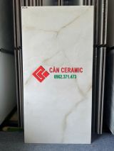 Gạch 60x120 bóng kính vân đá ấn độ max30