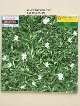 GẠCH LÁT SÂN 40X40 403