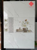 Đá bóng kiếng 30x60 viglacera 3609