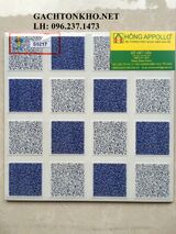 Gạch nhà tắm 25x25 S5217