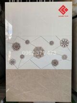 Ốp tường 30x60 viglacera G3602
