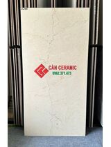 Gạch 60x120 vân đá vàng kem mờ Max97m