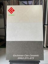 Gạch mờ matt 30x60 ốp lát sang trọng 3738EQ