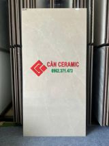 Gạch 60x120 bóng kính màu kem vân đá max29