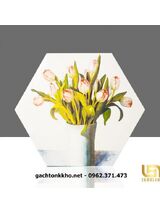 Gạch lục giác giá rẻ Gò Vấp