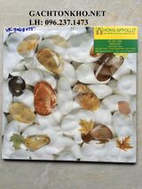 GẠCH NHÀ TẮM 30x30 VK304