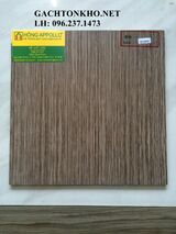 GẠCH NHÀ TẮM 30x30 KS3665