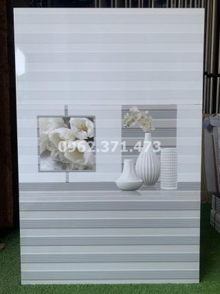 Gạch ốp phòng tắm 30x60