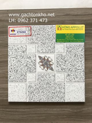 GẠCH LÁT NỀN NHÀ TẮM 30x30 KTS2502