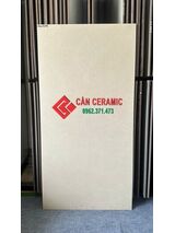 Gạch 60x120 màu vàng kem bề mặt mờ max42