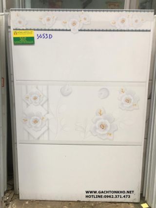 Gạch ốp tường bếp 30x60 3653D