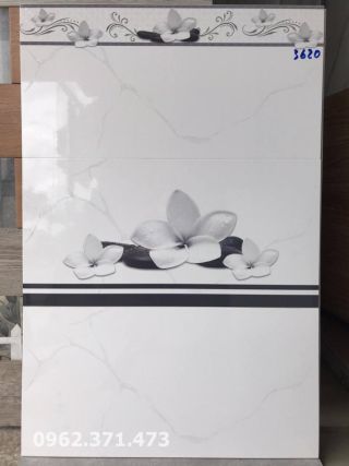 Gạch ốp tường phòng khách men bóng 30x60 KH3620
