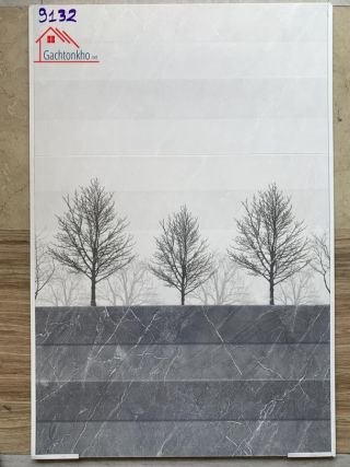 Gạch 30x60 ốp tường phòng khách đẹp 9132